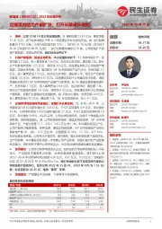 2022年定增点评:定增落地助力产能扩张;打开长期成长空间