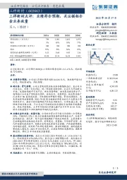 三祥新材点评:业绩符合预期,关注镁铝合金业务放量