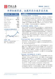 串焊机领军者,拓展布局打造多成长极
