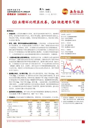Q3业绩环比明显改善，Q4快速增长可期