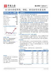 Q3盈利再超预期，储能、微逆继续放量高增