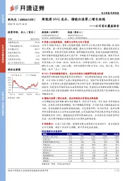 公司首次覆盖报告：新能源SVG龙头，储能打造第二增长曲线