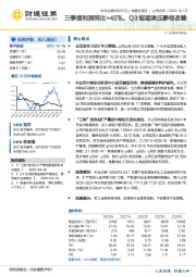 三季报利润同比+45%,Q3短期承压静待改善