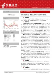 业绩符合预期，磷酸铁投产加快结构转型升级