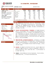 Q3出货增长较快，吨净利基本稳定