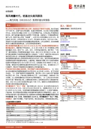 投资价值分析报告:海风增量时代,桩基龙头乘风御浪