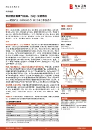 2022年三季报点评：钾肥锂盐高景气延续，22Q3业绩亮眼