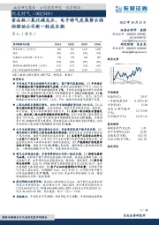 食品级二氧化碳龙头,电子特气发展势头强劲驱动公司新一轮成长期