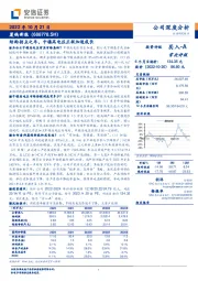 结构拐点之年，中镍高电压正极加速成长