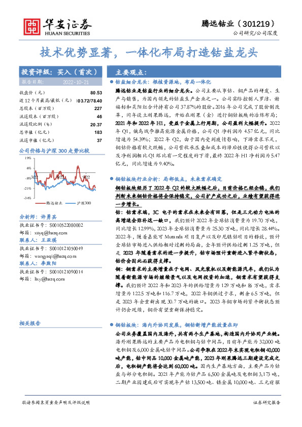 技术优势显著，一体化布局打造钴盐龙头