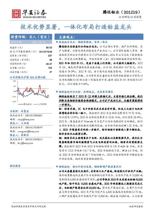 技术优势显著，一体化布局打造钴盐龙头