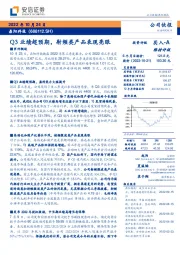 Q3业绩超预期，射频类产品表现亮眼