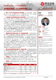 2022年三季度业绩点评：自供锂资源放量，Q3业绩重回增长