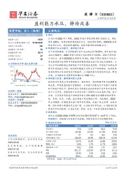 盈利能力承压，静待改善