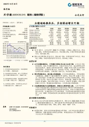 业绩端略微承压,多核驱动增长可期