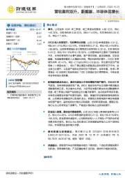 营收盈利双升，新能源、半导体促增长