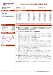 TOPCon整线Turnkey海外订单落地，龙头地位进一步巩固