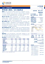 费用投入增加，Q3业绩承压