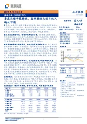 季度业绩平稳释放，盐湖提锂大项目收入确认可期