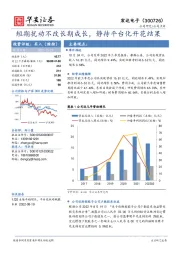 短期扰动不改长期成长，静待平台化开花结果