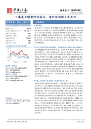 三季度业绩暂时性承压,看好优创项目成长性