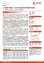 2022年三季报点评：Q3业绩超市场预期，抗老剂与润滑油添加剂双线稳定快速成长