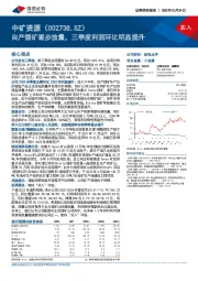 自产锂矿逐步放量，三季度利润环比明显提升