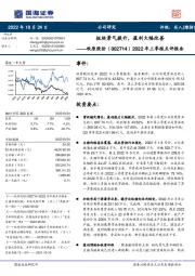 2022年三季报点评报告:板块景气提升,盈利大幅改善
