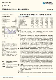 价格回落带动业绩下行，看好长期成长性