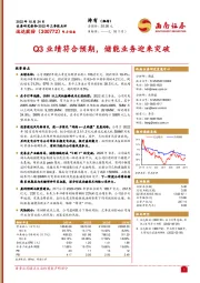 Q3业绩符合预期，储能业务迎来突破