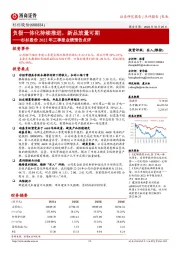 杉杉股份2022年三季报业绩预告点评：负极一体化持续推进，新品放量可期