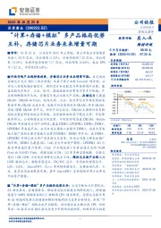 “计算+存储+模拟”多产品格局优势互补，存储芯片业务未来增量可期