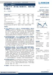 三季报点评：盈利能力继续承压，期待关键定点落地