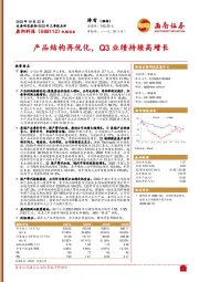 产品结构再优化，Q3业绩持续高增长