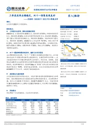 2022年三季报点评：三季度淡季业绩稳定，双十一预售表现良好