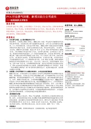 皖维高新点评报告:PVA行业景气回落,新项目助力公司成长