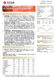 3季度收入和盈利实现同、环比较高增长，预计新能源车产品盈利比重将逐步提升