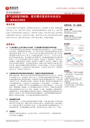 新和成点评报告:景气底部盈利略降,看好需求复苏和未来成长