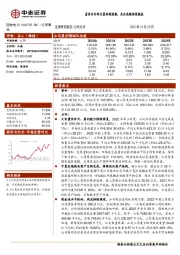 量价齐升助力盈利超预期，光伏亮眼转型提速