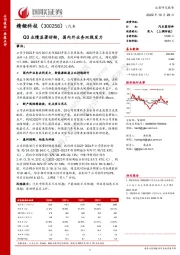 Q3业绩显著好转,国内外业务双线发力