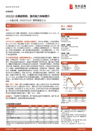 跟踪报告之七:2022Q3业绩超预期,盈利能力持续提升