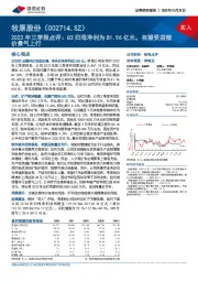 2022年三季报点评：Q3归母净利为81.96亿元，有望受益猪价景气上行