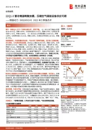 2022年三季报点评：22Q1-3营收增速略微放缓，压缩空气储能设备供应可期