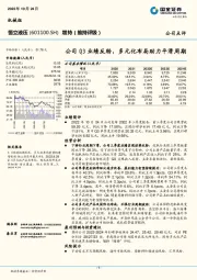 公司Q3业绩反转，多元化布局助力平滑周期