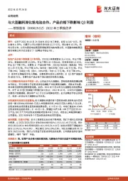 2022年三季报点评:与大连融科深化钒电池合作,产品价格下跌影响Q3利润