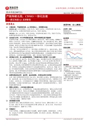 药石科技Q3点评报告：产能持续兑现，CDMO一体化加速