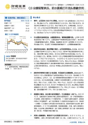 Q3业绩短暂承压，防水新规打开龙头想象空间
