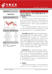 2022年三季报点评：海内外消费需求整体下滑，公司盈利能力稳中有升