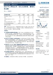 2022年三季报点评：坚定业务转型，静待化茧成蝶