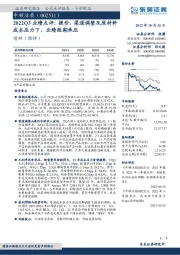 2022Q3业绩点评：提价、渠道调整及原材料成本压力下，业绩短期承压